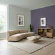 Set Vopsele Colorate Urban Violet & Misty Birch