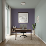 Set Vopsele Colorate Urban Violet & Misty Birch