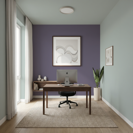 Set Vopsele Colorate Urban Violet & Misty Birch