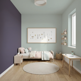 Set Vopsele Colorate Urban Violet & Misty Birch