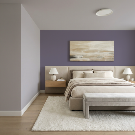 Set Vopsele Colorate Urban Violet & Lavender Fog