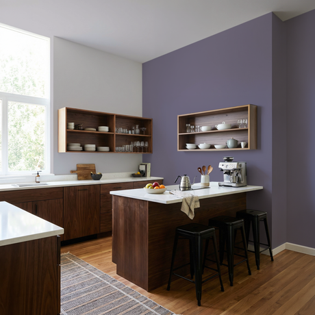 Set Vopsele Colorate Urban Violet & Lavender Fog