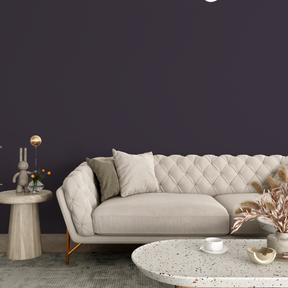 Vopsea Lavabila, Shadow Slate, CM-W9.10.13