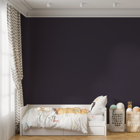 Vopsea Lavabila, Shadow Slate, CM-W9.10.13