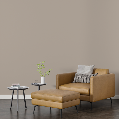 Vopsea Lavabila, Beige Smoke, CM-F6.06.69