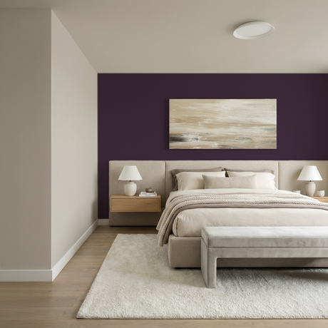 Set Vopsele Colorate Midnight Mulberry & Egyptian Cotton