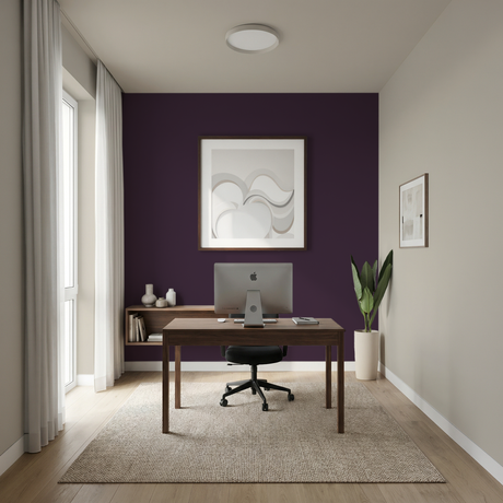 Set Vopsele Colorate Midnight Mulberry & Egyptian Cotton