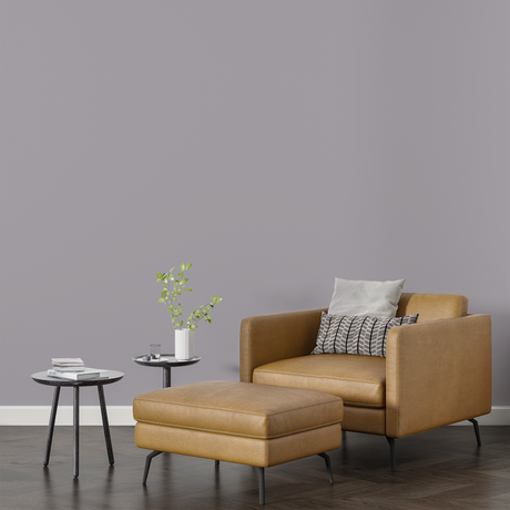 Vopsea Lavabila, Vanilla Ash, CM-Y7.03.63